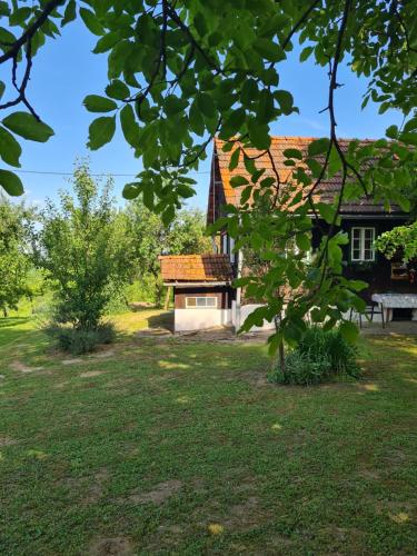 Holiday home Hižica v plavem trnacu (Holiday home Hizica v plavem trnacu) in 哥納亞斯圖貝卡