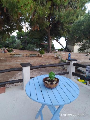 Pefkonas apartments2 100 m from the beach