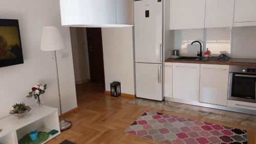 One-Bedroom Apartment image 8