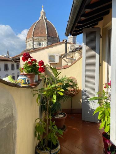 Al Campanile, Florencie (fotografie 6)