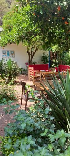  Relax Point Pansiyon in Çıralı