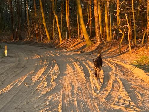 Ecolodge Bergzicht de Bosuil - vakantiehuis aan het bos