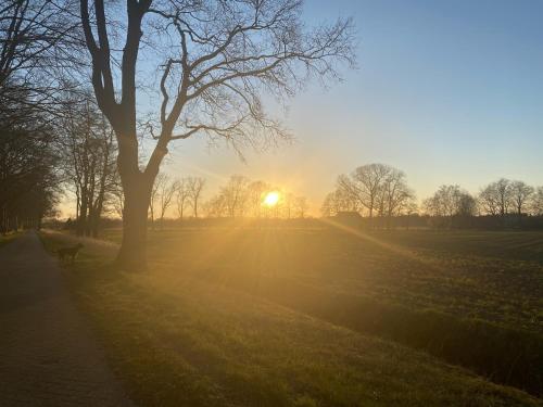 Ecolodge Bergzicht de Bosuil - vakantiehuis aan het bos