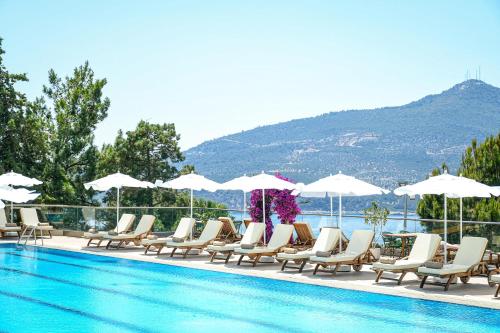 Happy Hotel - image 3