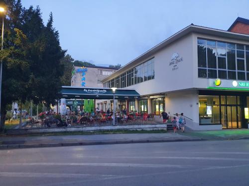 Park Hotel - image 11