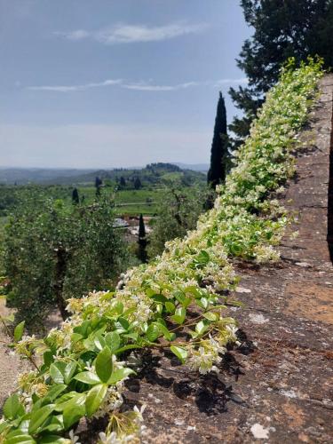 Montagnana Country House - relax and stunning view - Tap to explore photos