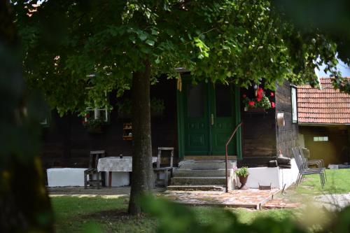 Holiday home Hižica v plavem trnacu (Holiday home Hizica v plavem trnacu) in 哥納亞斯圖貝卡