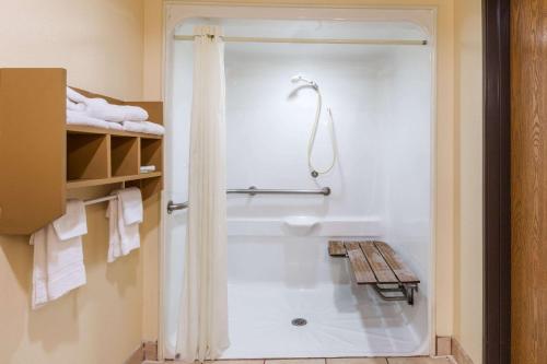 1 Queen Bed, Mobility Accessible Room, Roll-in Shower, Non-Smoking