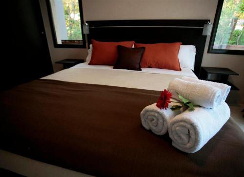 1 king bed, 1 sofa bed