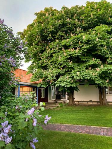 Studio Solbakke, modern studio close to sea