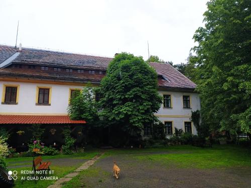 Penzion selský dvůr, Raspenava (photo 2)
