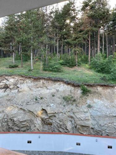 Апартамент ВАНЕСА, Velingrad (photo 5)