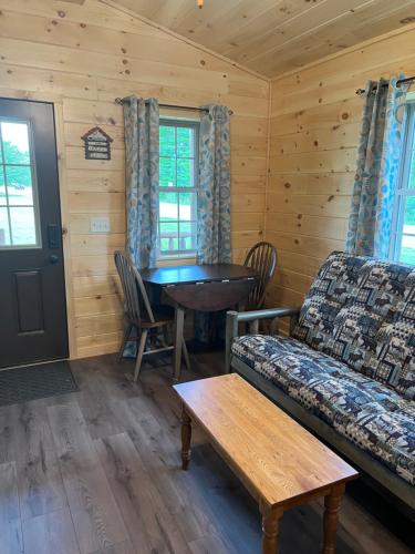 Lincoln Log Cabins - image 11