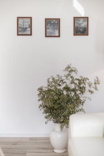 Großartige Tage im Zentrum von Dresden!, Drážďany (fotografie 9)