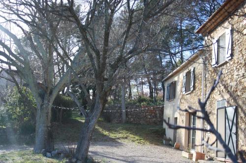 mas au milieu des oliviers gîte à louer La Caravane