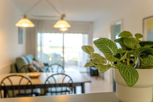 設施, Bravissimo Estel A4 S'Agaró (Bravissimo Estel A4 S'Agaro) in 薩嘎洛