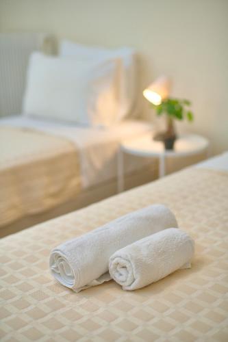 Venias Two-Bedroom apartment Kallimarmaro and Zappeio area