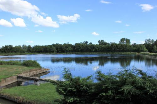 Accommodation in Saint-Didier-sur-Chalaronne