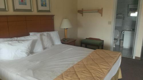 布蘭福德汽車旅館 (Branford Motel) in 布蘭福德
