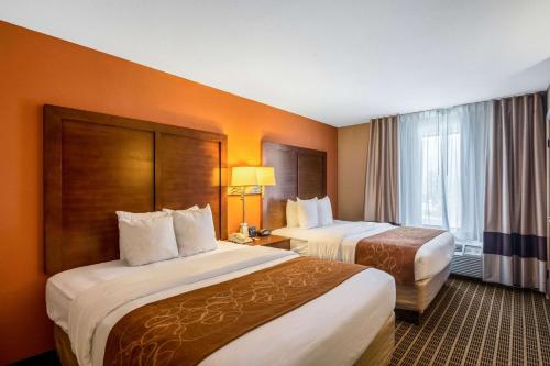 Comfort Suites - image 10
