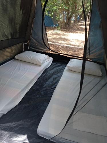 2 futon beds