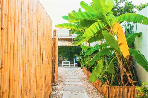 Garden, Eventuality B&B New Kingston in Kingston