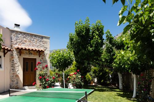 Villa Asigonia - image 11