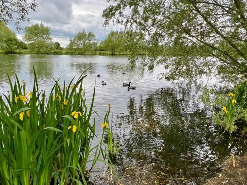 Bumble Bee Cabin - Chalet - South Cerney