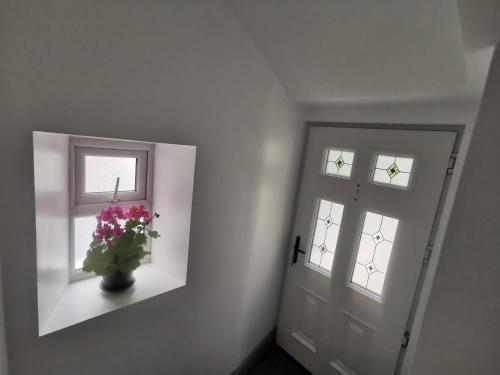 Orchard Cottage in Ballyvolane
