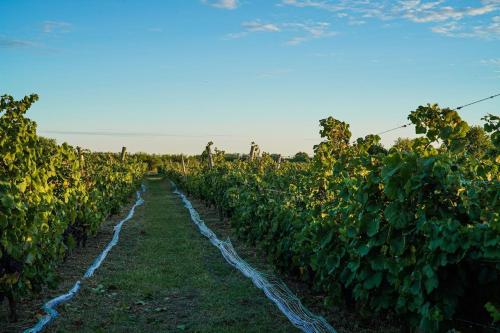 Narbona Wine Lodge