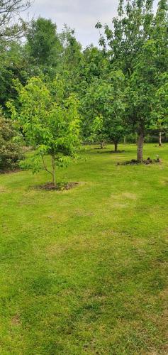 Orchard Cottage in Ballyvolane