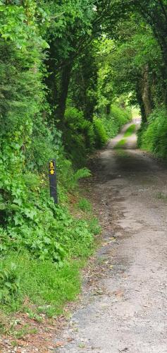 Orchard Cottage in Ballyvolane