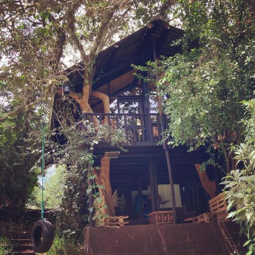 The Tree House