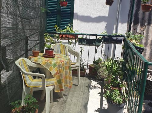 apartmani NEDO 3