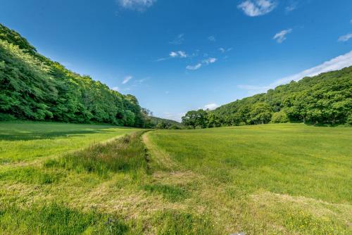 Cwmdu Cottage - image 5