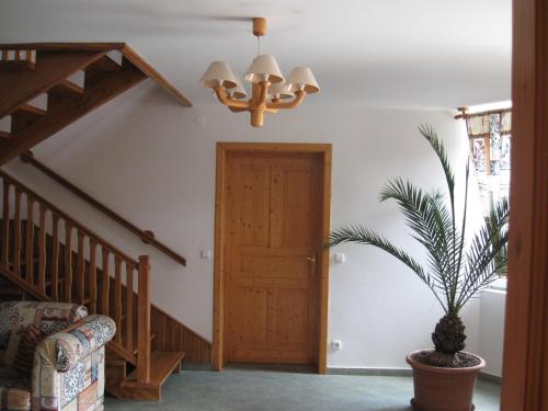 Platan Panzio in นยูล