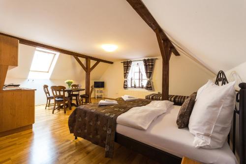 維拉克魯姆洛夫酒店 (Vila Krumlov) in 捷克克魯姆洛夫城中心