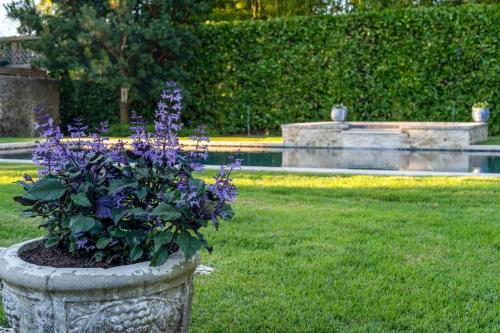 The Garden House Hot Tub Pool and Lush Garden Oasis