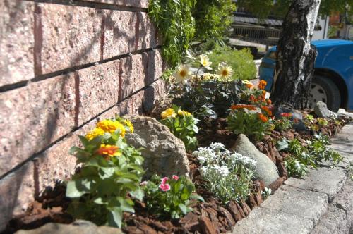 维斯酒店 维斯酒店