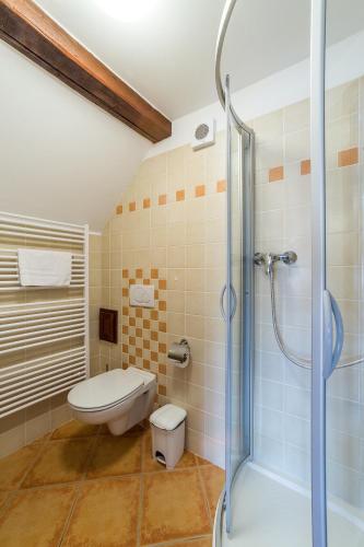 Vila Krumlov - image 12
