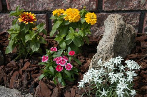 维斯酒店 维斯酒店