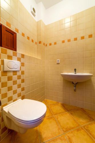 Comfort Apartment image 9