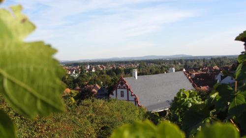 Pension am Weinberg Bed & Breakfast