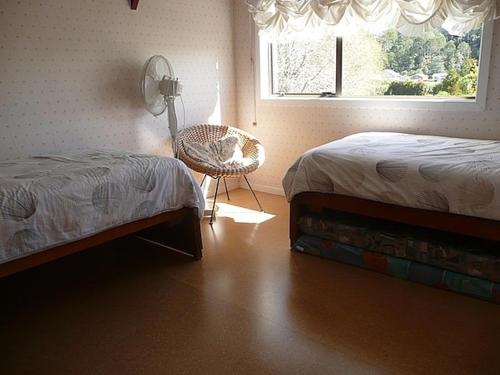 Cute Cottage - Cooks Beach Bach photo