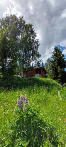 Chalet privatif pour 8 personnes aux Coches - Paradiski