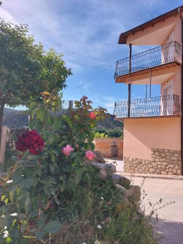 A szálláshely kívülről, Apartamentos El Pozo in Royuela