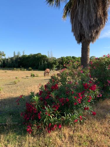 Finca Dos Vientos Tarifa