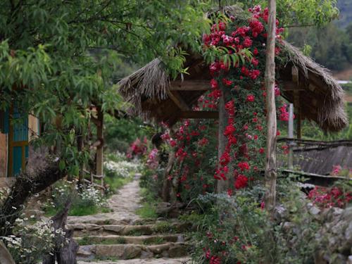 Garden, H'mong Co Tran Sapa Homestay & Restaurant near Terraced Rice Fields in Shin Chai Village