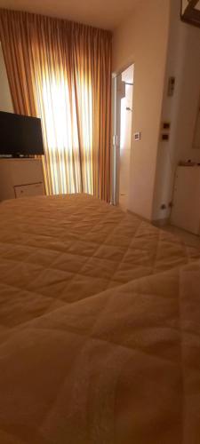 Economy Single Room image 1