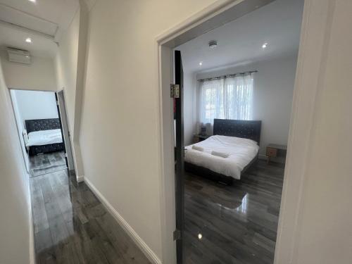 Zams rooms